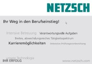 netzsch